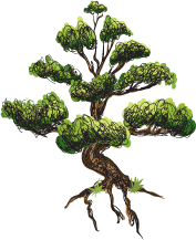 дерево баобаб в векторе