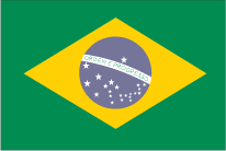 Флаг Бразилии в векторе