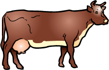 Корова в векторе