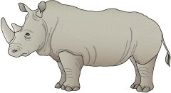 Африканский носорог в векторе