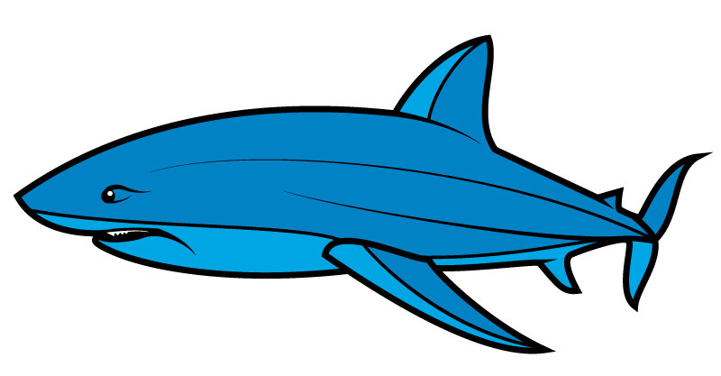 Голубая акула в векторе