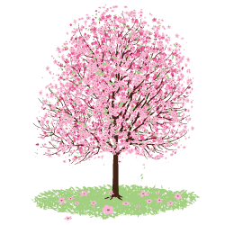 Цветущее дерево в векторе